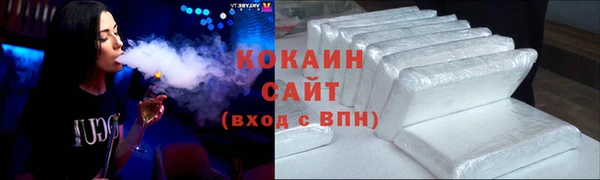 гидра Белокуриха