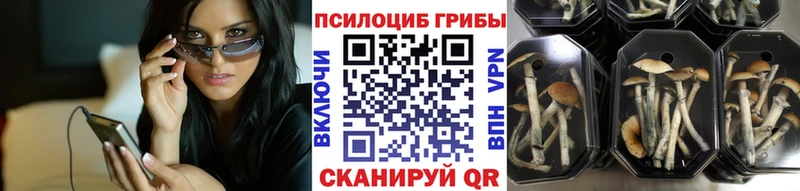 блэк спрут ONION  Холмск  Псилоцибиновые грибы прущие грибы 